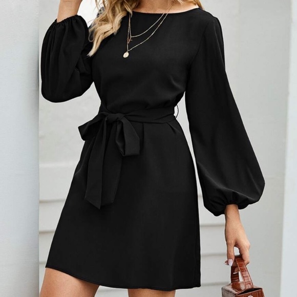 Blue long lantern sleeve belted dress - Picture 4 of 16